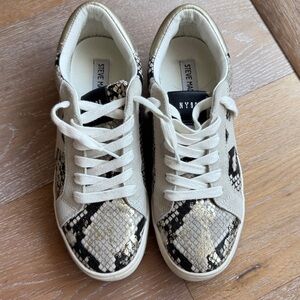 Steve Madden Pursued snake print lace sneaker